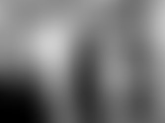 Inside the Veterinary Innovation Summit with Jules Benson