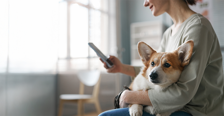 The consumer experience revolution: What does it mean for pet health care?
