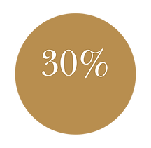 Mockup WIX (1).png