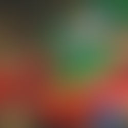 フィリピン、セブにて息子が療育留学