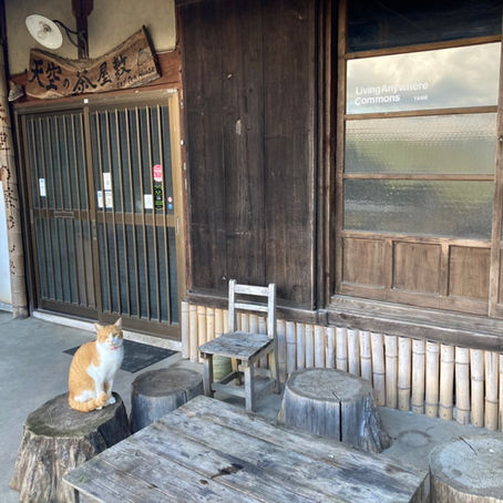 地域おこし協力隊制度について僕が思うこと