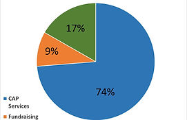 Impact Report chart