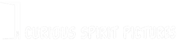 Curious_Spirit_Small_Website_Logo.png