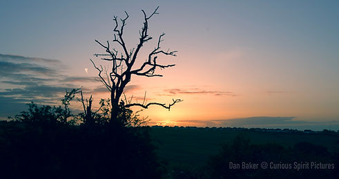Hadleigh Castle _ Sunrise 4.JPG