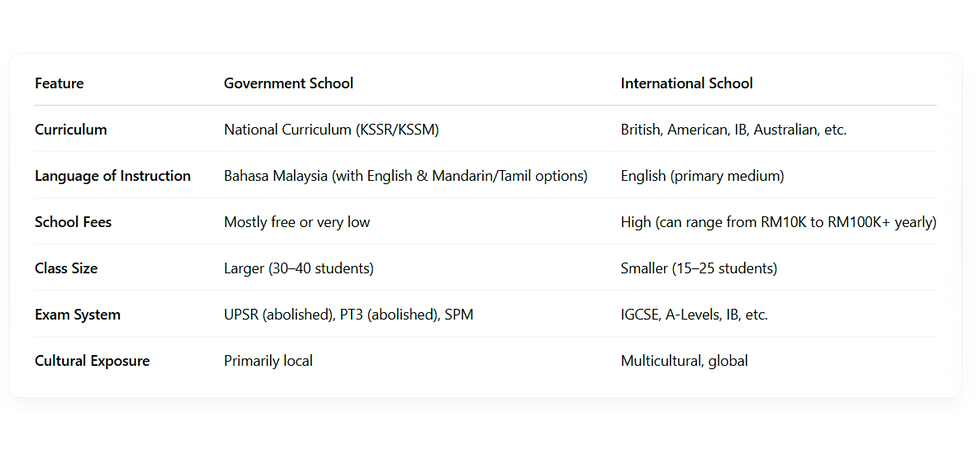 Comparison chart of government vs. international schools showing curriculum, language, fees, class size, exam system, and cultural exposure.