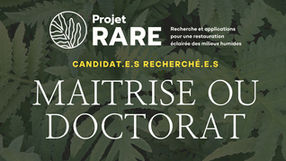 POSTES COMBLÉS - Plusieurs projets de maîtrise et de doctorat offerts