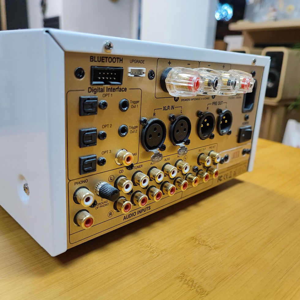 Miniature : Ampli Intégré ADVANCE PARIS SMART AX1