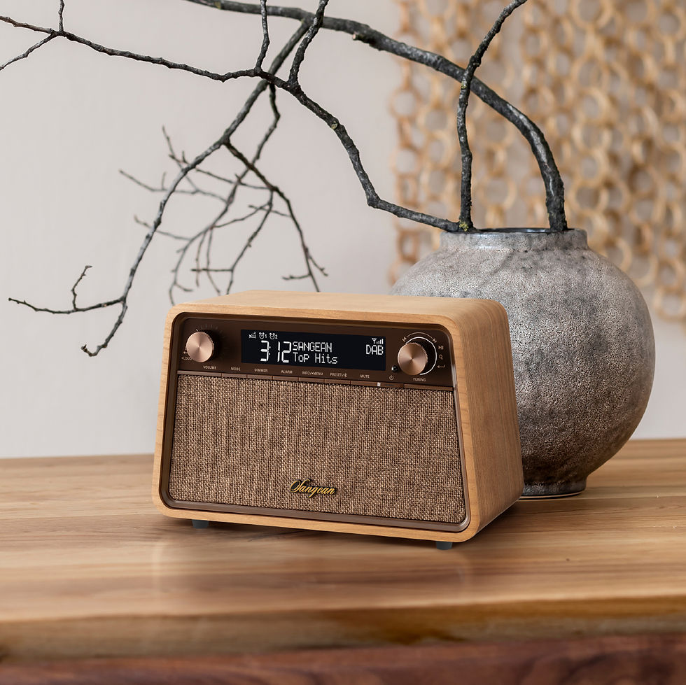 Miniature : SANGEAN WR-201D DAB+ / FM-RDS / Bluetooth / AUX