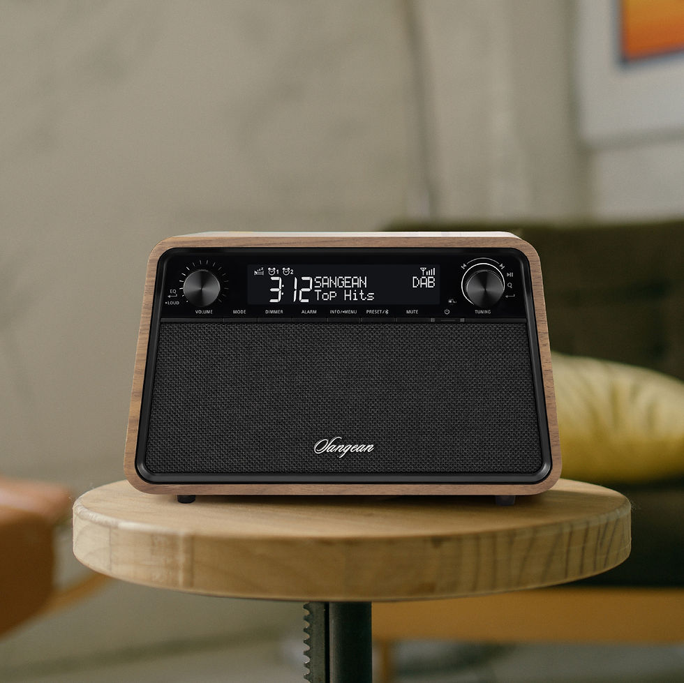 Miniature : SANGEAN WR-201D DAB+ / FM-RDS / Bluetooth / AUX