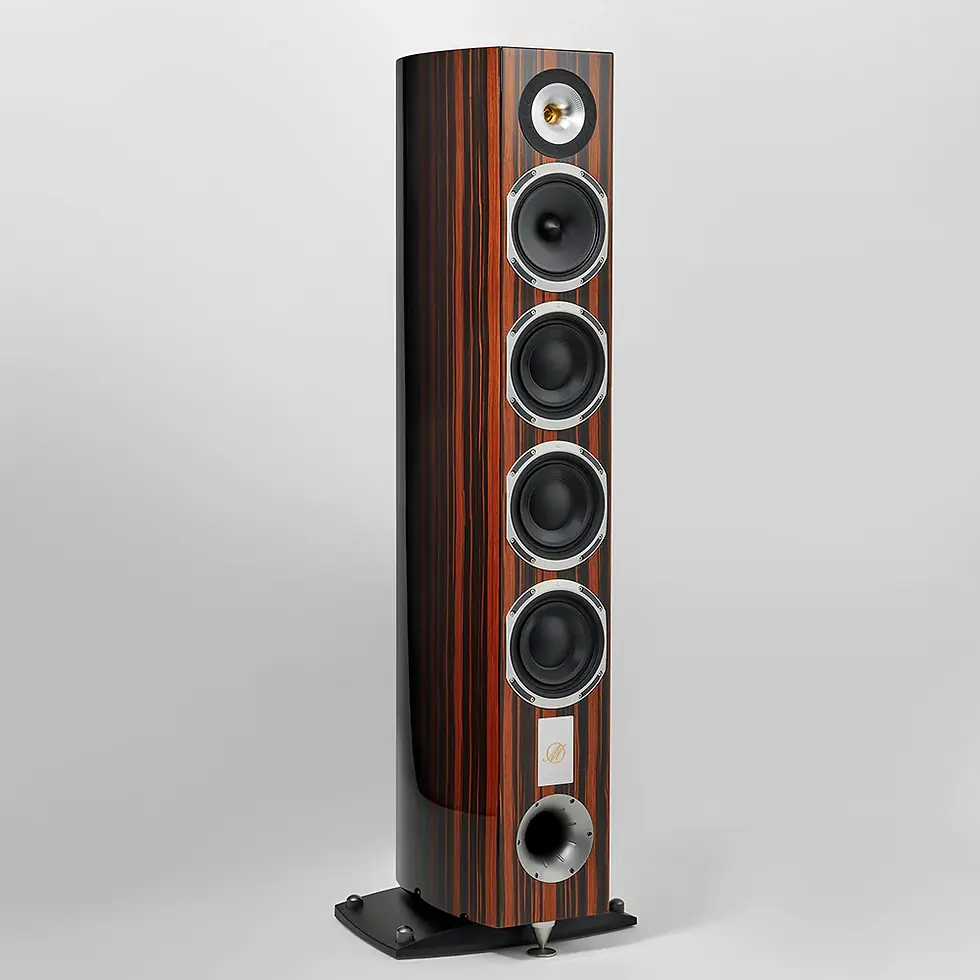 Miniature : TRIANGLE Magellan - Quatuor 40th Enceinte - La paire de Colonnes