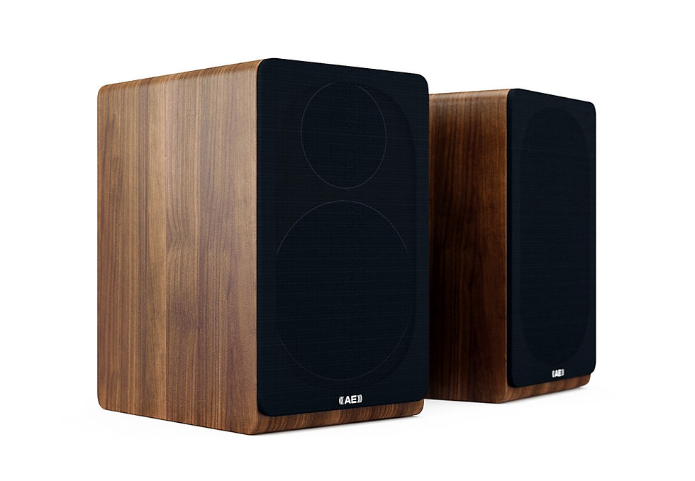 Miniature : Acoustic Energy AE300 - enceinte bibliothèque hifi