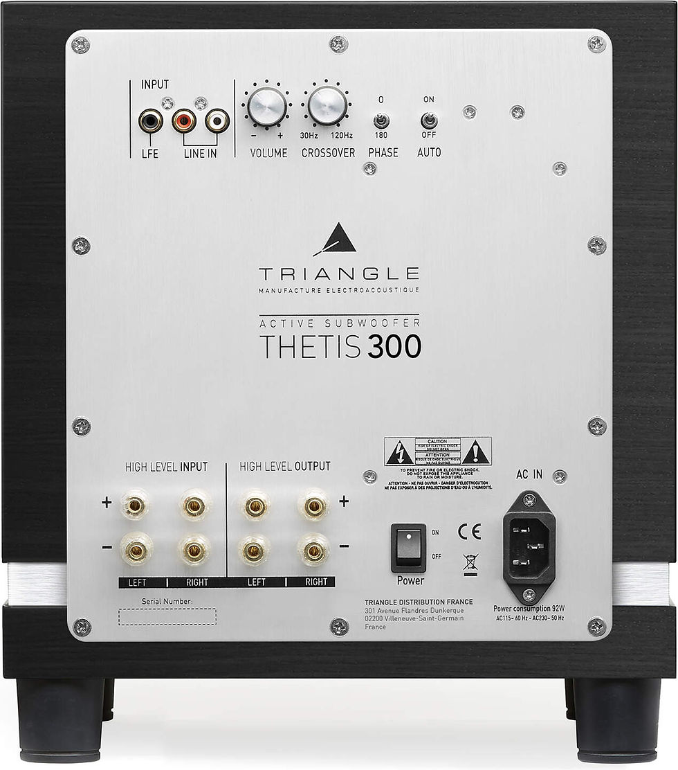 Miniature : TRIANGLE Thetis 300 - noir laqué - CAISSON DE BASSES