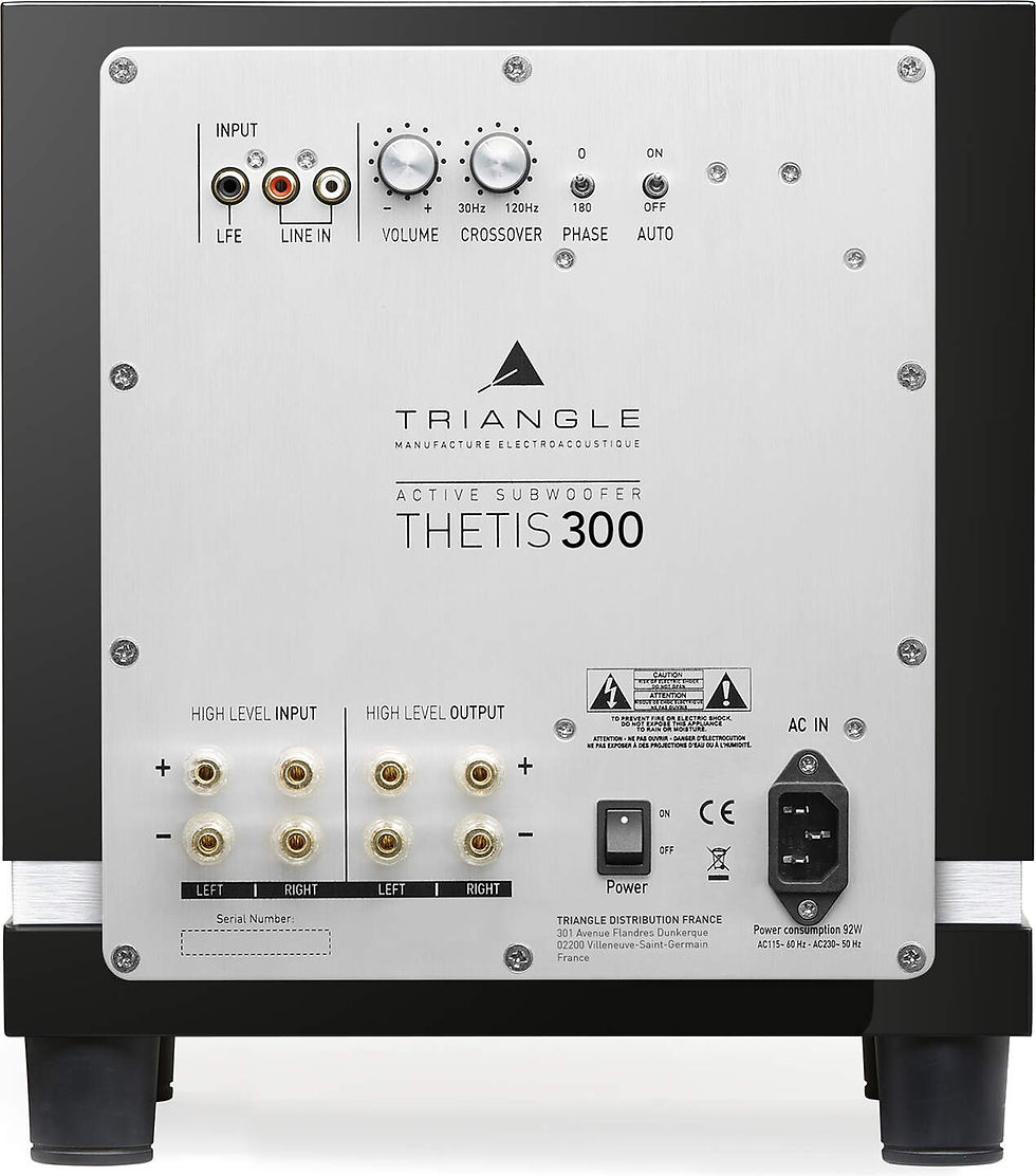 Miniature : TRIANGLE Thetis 300 - noir laqué - CAISSON DE BASSES