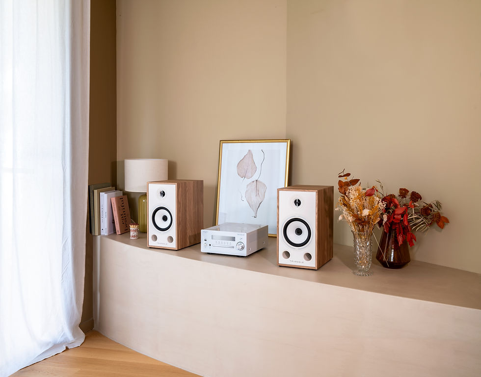 Miniature : Pack Enceintes Borea BR03 + MyConnect60