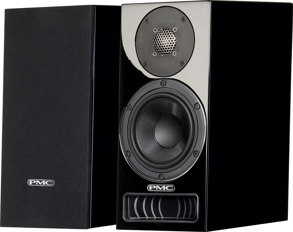 Miniature : PMC Twenty5 22  (la paire) - plusieurs finitions