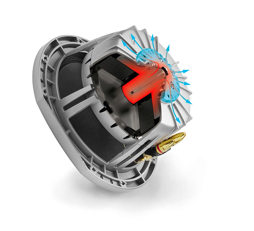 Miniature : TRIANGLE - MAGELLAN CELLO 40th anniversaire blanc sideral -  (La paire)