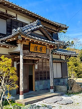 IMG_8441.jpeg