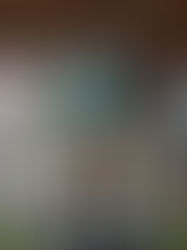 Chile en primer lugar en la Pre Copa del mundo