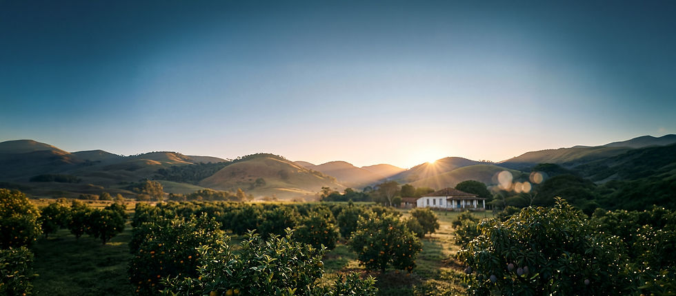 Paisagem-da-roça.jpg