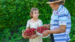 Agricultura-familiar.jpg