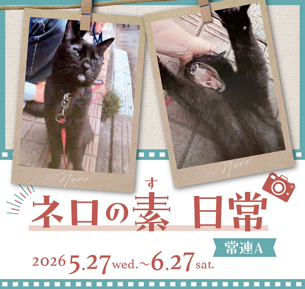 ネロの素 日常展 常連A