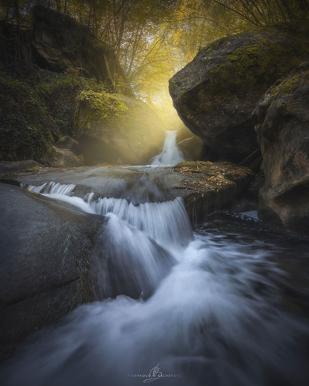 golden umito - Copy3.jpg