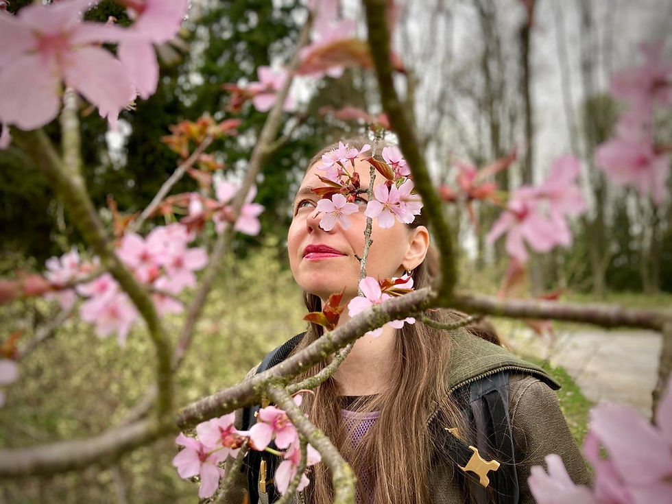 retreaty v přírodě