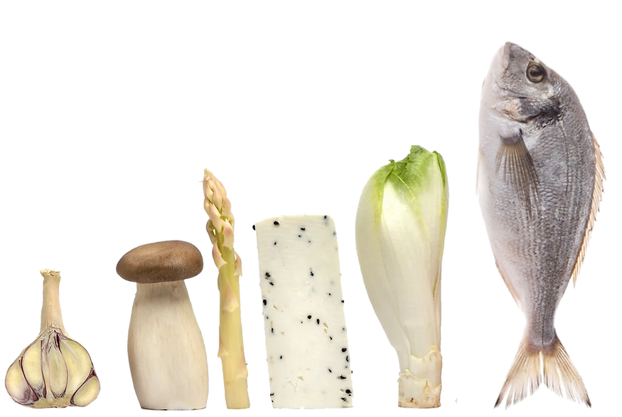 Fine Dining Bistro Sea Salt Bistro Roatan West End