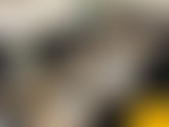 Câmara aprova projeto que concede auxÃlio-aluguel à s mulheres vÃtimas de violência doméstica