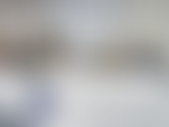 Último seminário de 2020 da UCVMS