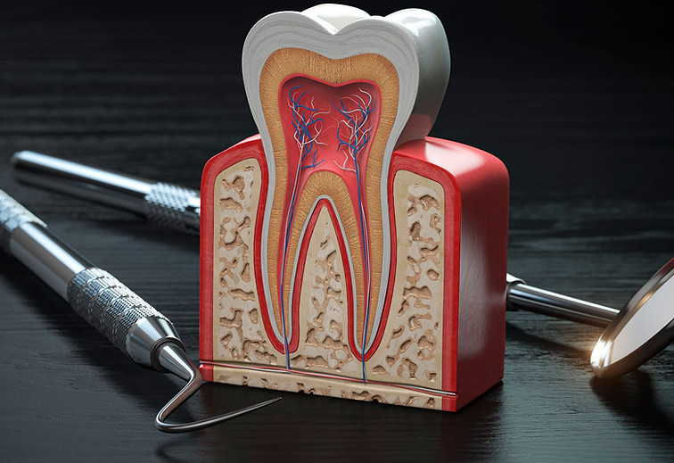 Endodontia