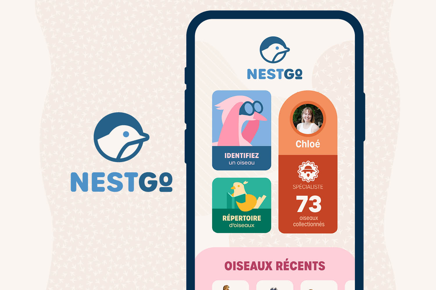Nestgo1.png
