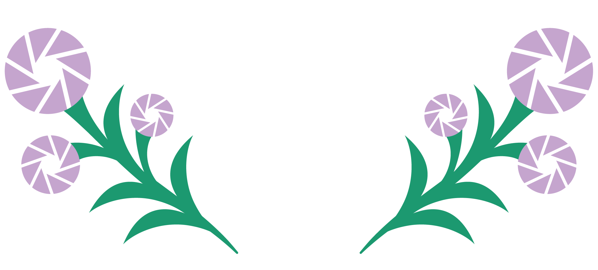 Fleurs_Aristide.png