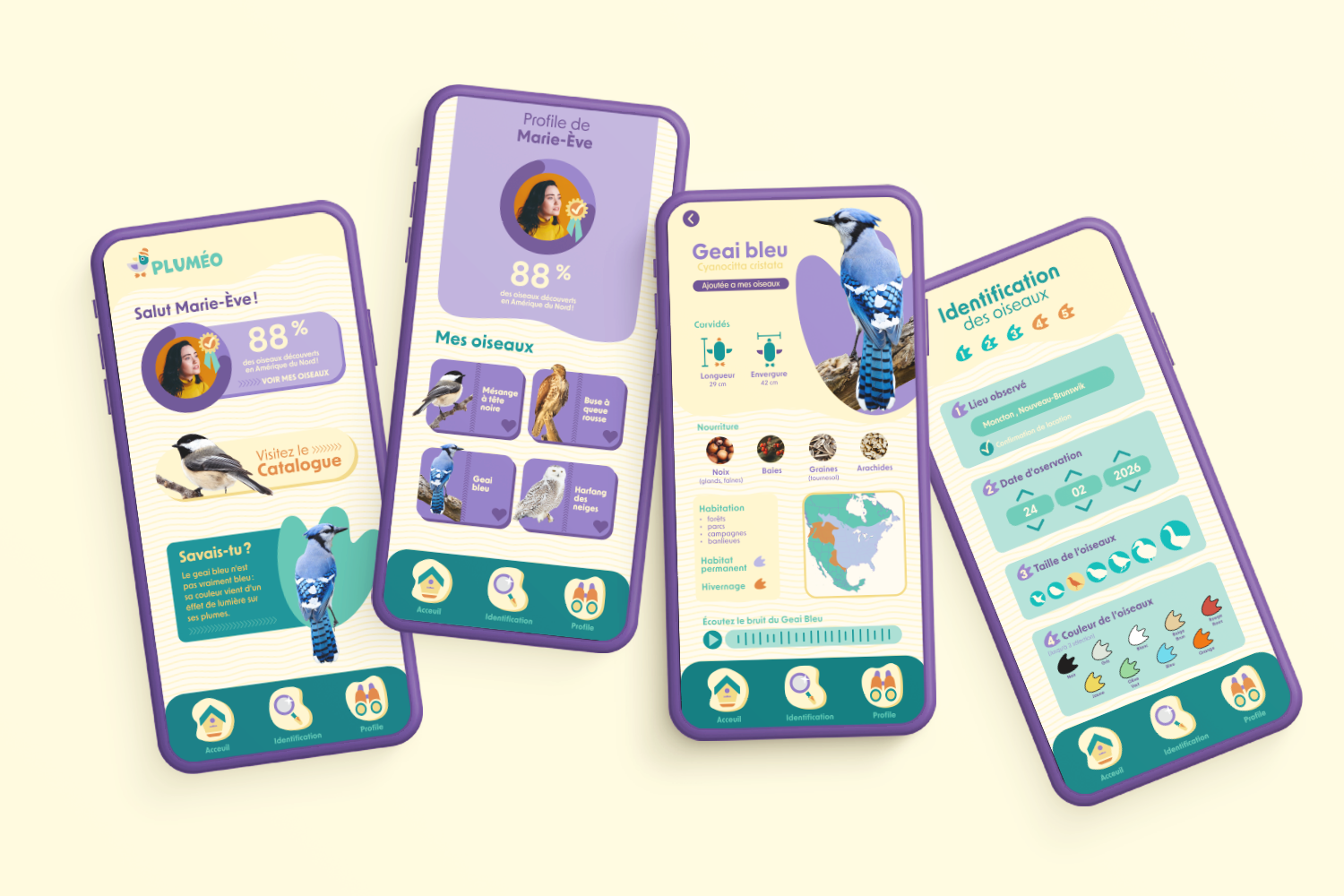 Mockup02_oiseaux.png