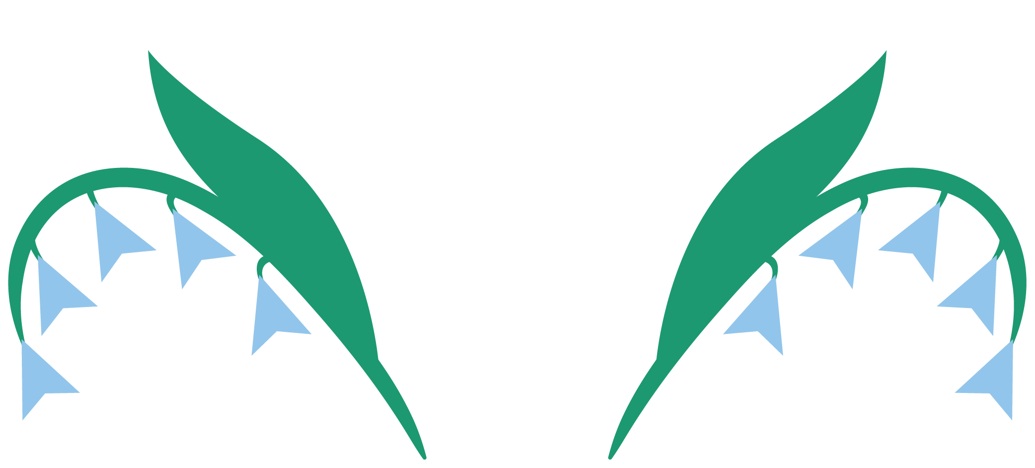 Fleurs_Kamy.png