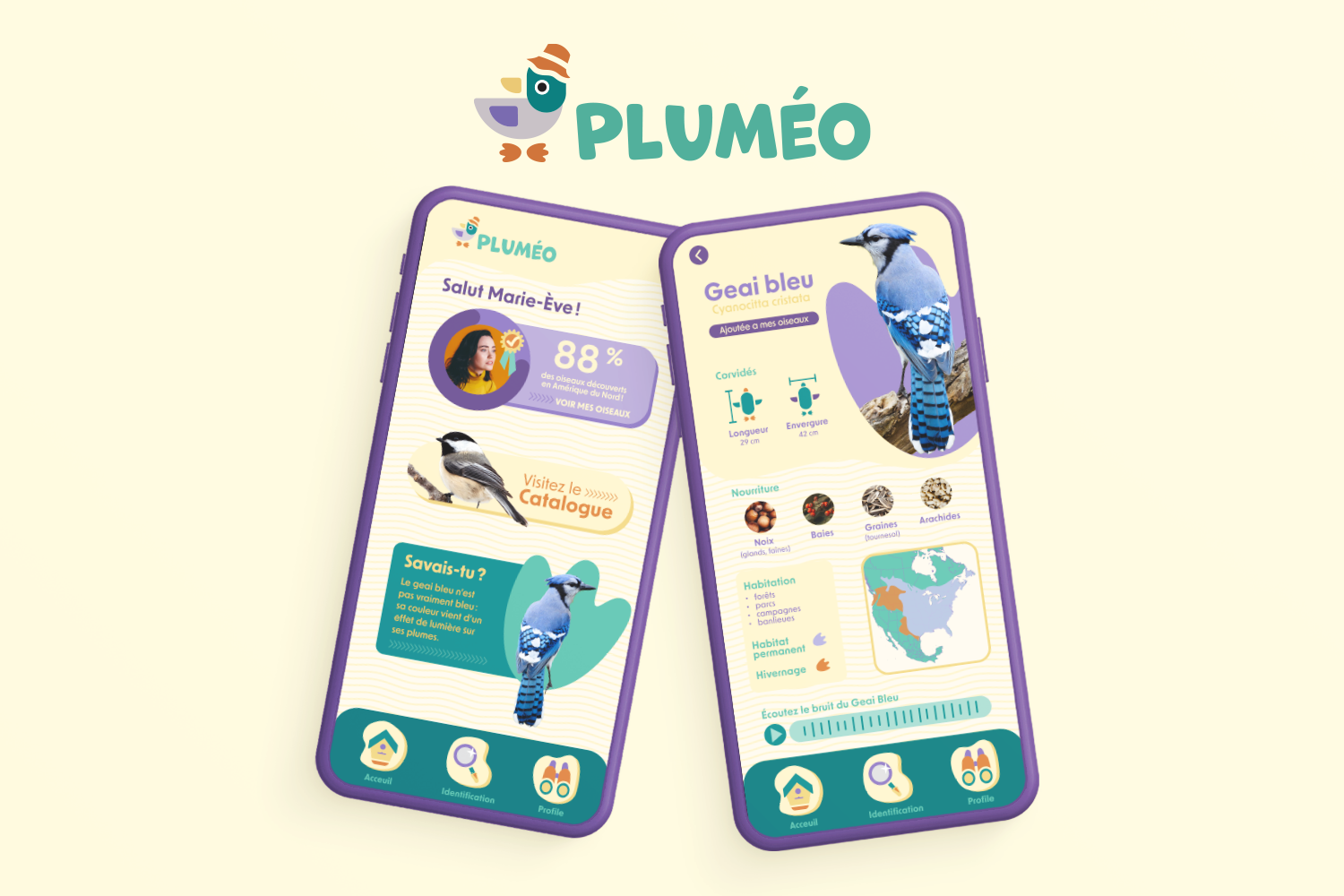 Mockup01_oiseaux.png