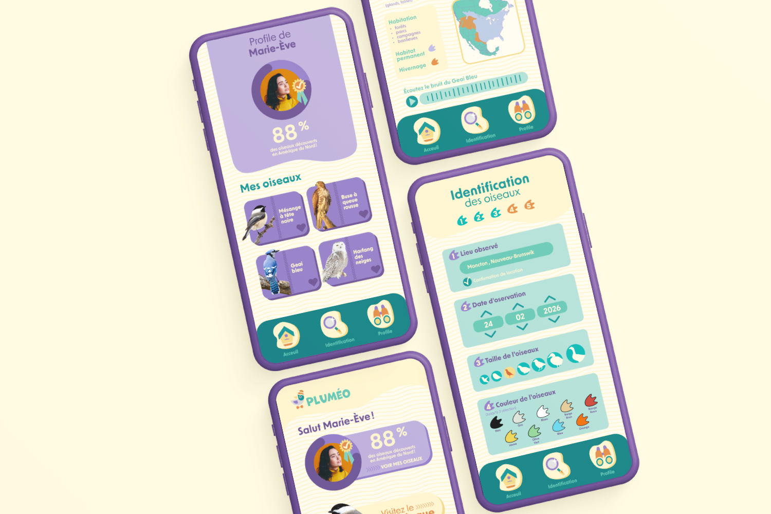 Mockup03_oiseaux.png