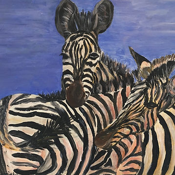 Zebras