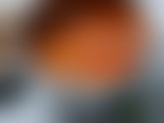 Tomato Zucchini Soup