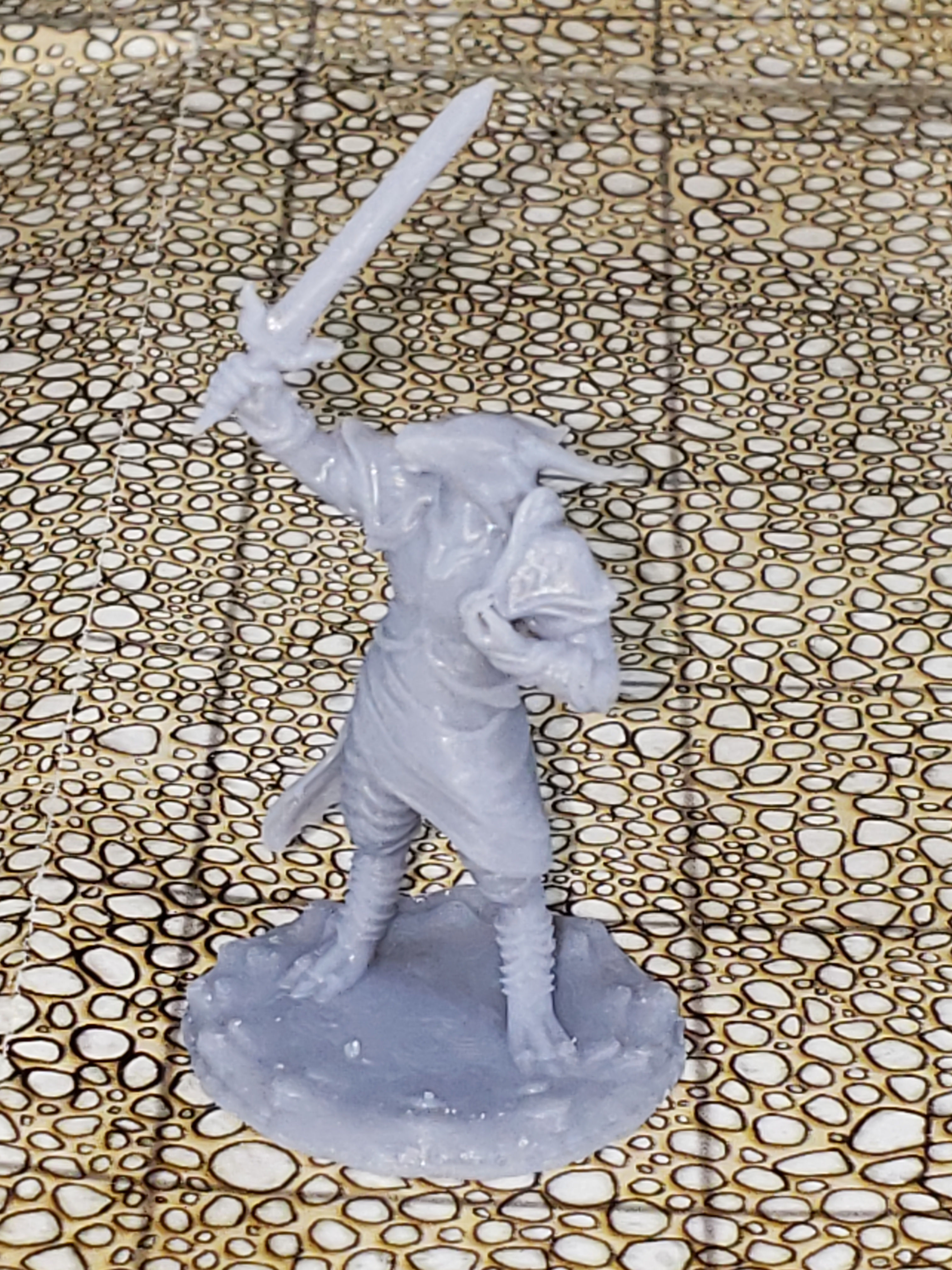 Female dragonborn paladin