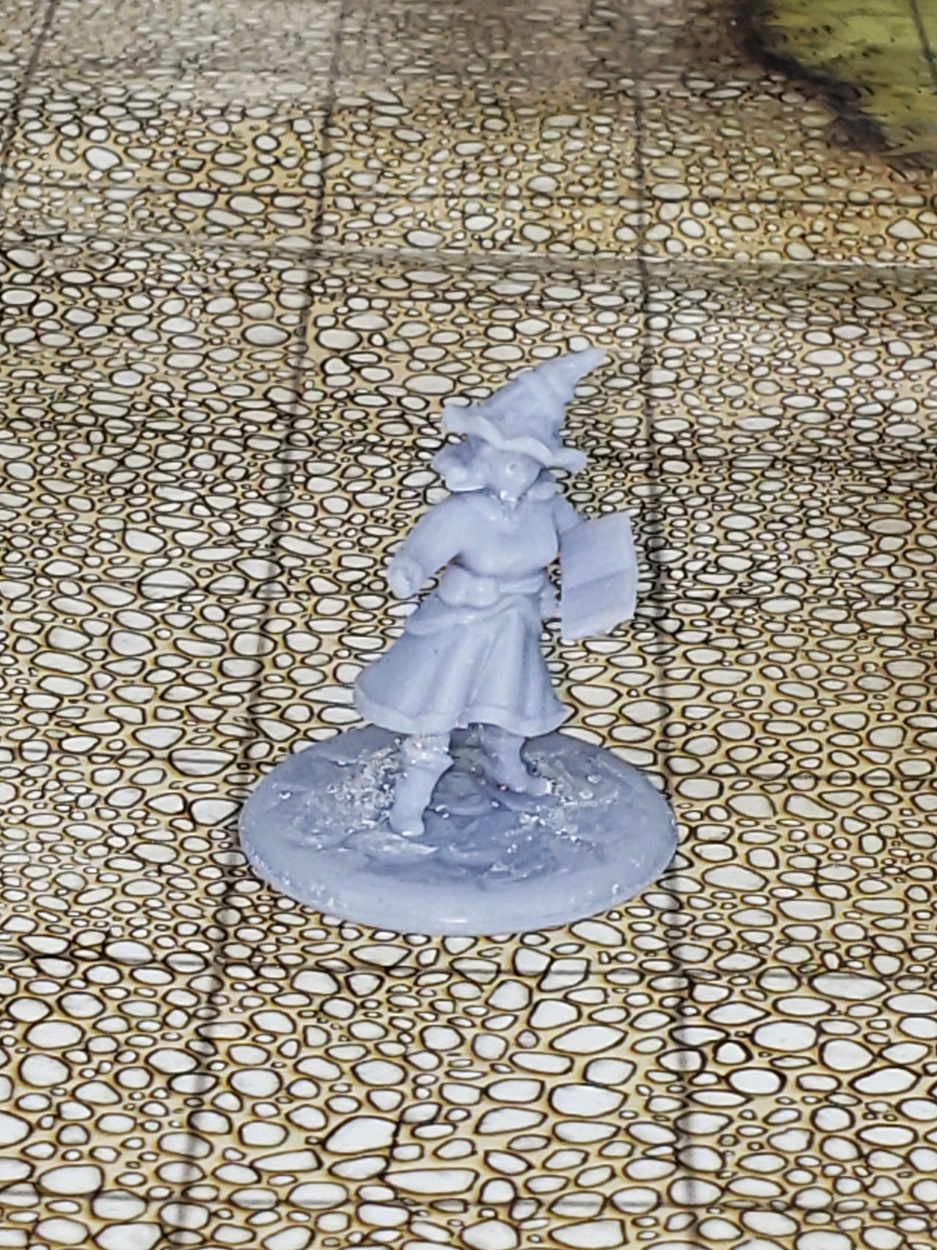 Female gnome wizard