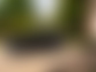 Chauffeur opening door for client