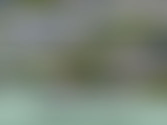 Fully responsive website