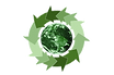 oie_transparent%20(8)_edited.png