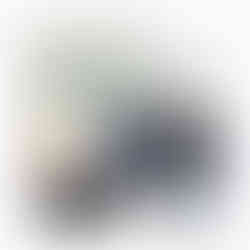 ケラスターゼクロノロジスト