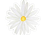 234-removebg-preview.png