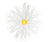 234-removebg-preview.png