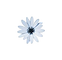 345-removebg-preview.png