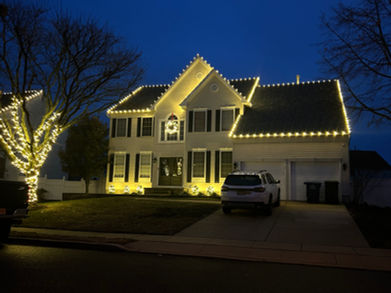 tree wrap holiday lights