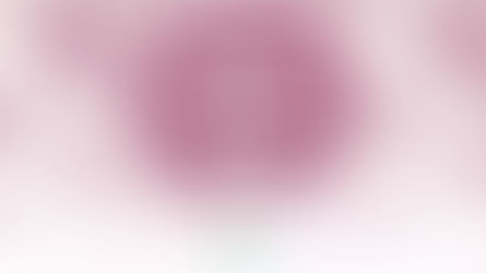 World Dairy Innovation Awards 2021: Winners revealed